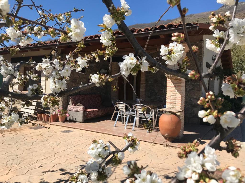 Casa Rural La Picotina Navaconcejo Εξωτερικό φωτογραφία