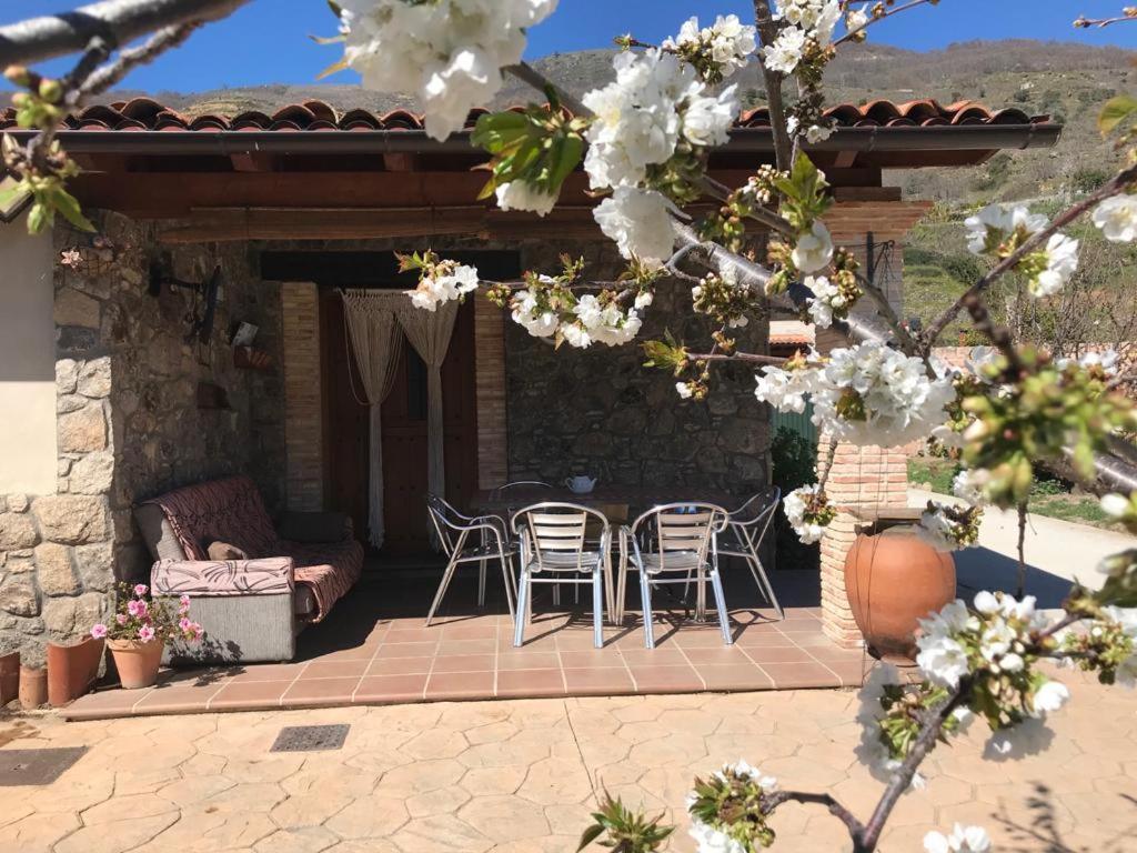Casa Rural La Picotina Navaconcejo Εξωτερικό φωτογραφία