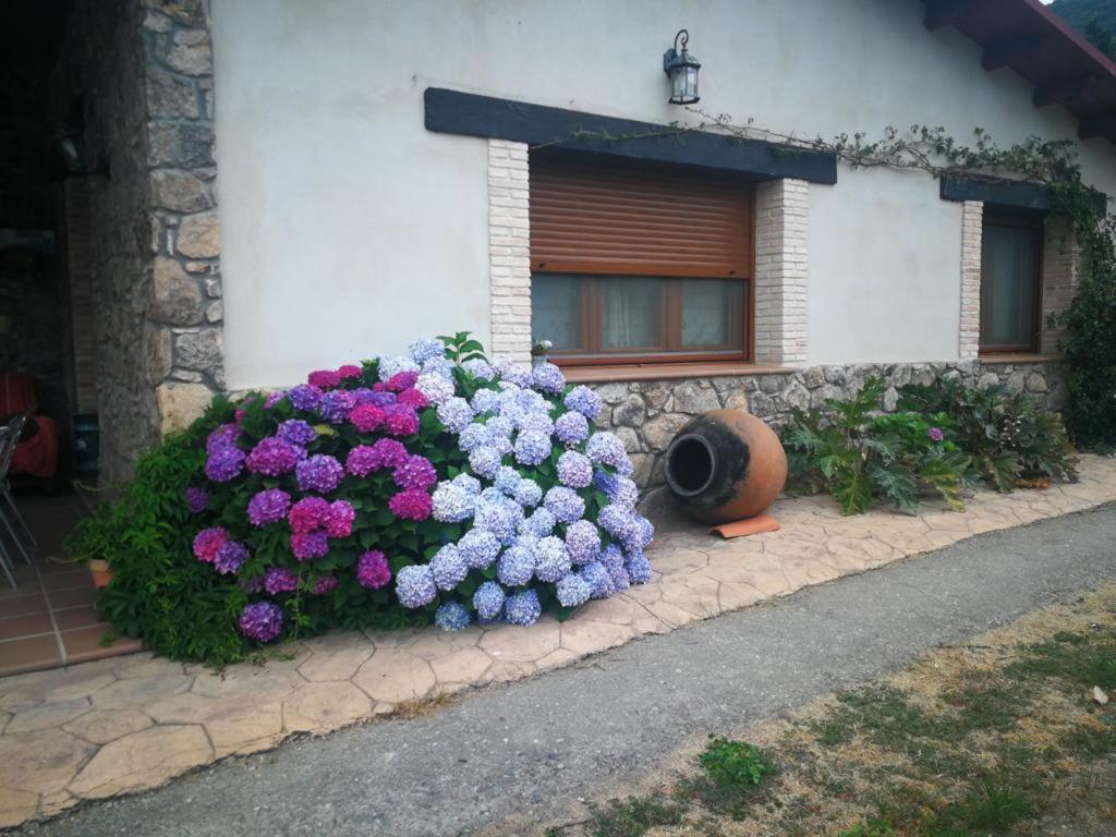 Casa Rural La Picotina Navaconcejo Εξωτερικό φωτογραφία